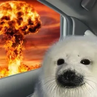 ♱ 𝔇𝔦𝔞𝔫𝔨𝔞𝔰𝔢𝔩𝔱𝔞 🦭