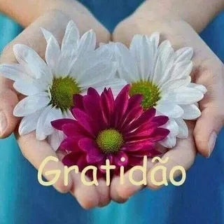 🦋🌸🌻 Transformação & Felicidade 🌻🌸🦋