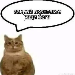 обэрон | oberon 18+