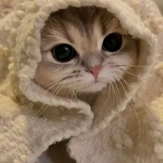 нотмалваре)️️