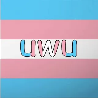 trans_memes
