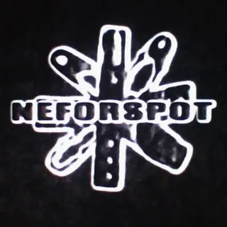 Nefor Spot 🕸️