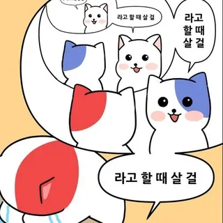 리포트 갤러리