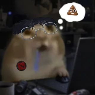 чат я суленов 💀