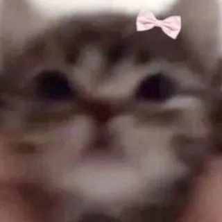 Уголочек КS 55🌸 (18+?)