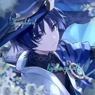 𝕿𝖍𝖔𝖚𝖌𝖍𝖙𝖘 𝖔𝖋 𝖍𝖞𝖉𝖗𝖔𝖈𝖊𝖕𝖍𝖆𝖑𝖐𝖆 / хэдканоны по играм hoyoverse и wuthering waves