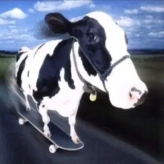 MisterBull 🐄