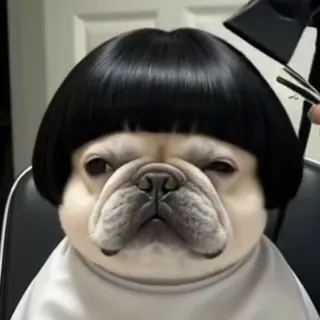 белый холст