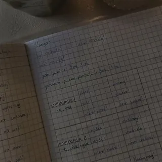 Польский язык