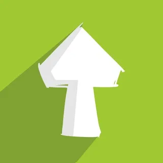 FUNGI studio (общий чат)