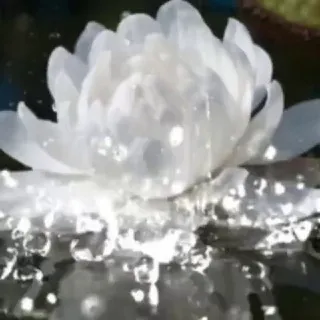 𝕳𝖊𝖗𝖟𝖊𝖓𝖘𝖜𝖆𝖍𝖗𝖍𝖊𝖎𝖙𝖊𝖓 🪷•*🧚‍♀️*☀️🕉☀️*🧚*•🪷