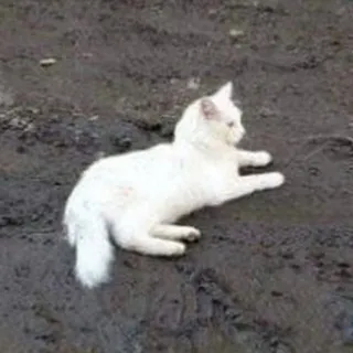 НеОбитель