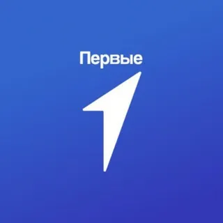 Движение Первых | Амурская область