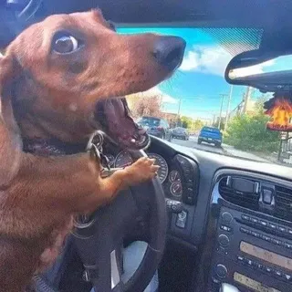 бубля