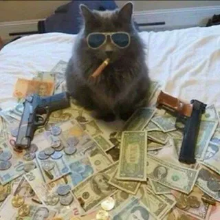 Катькерс!
