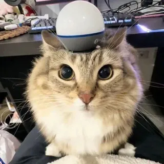 Обновляй Юсернейм