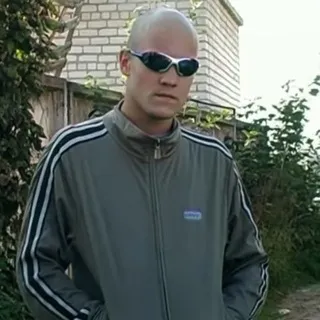 гуси-ленины