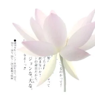 月彩.Aya_ya ꔫ☃️