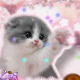 ◌♡̼̻🥣 𝗸͡𝗮𝘄𝗮𝗶𝗶 𝘄𖦹ׅ𝗿𝗹𝗱ִ 🌈 𓈒 𐔌🥩 ͡꒱