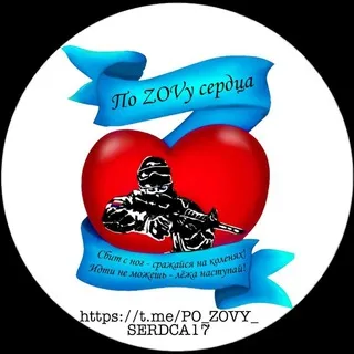 Отчеты ПО ZOVy сердца💝