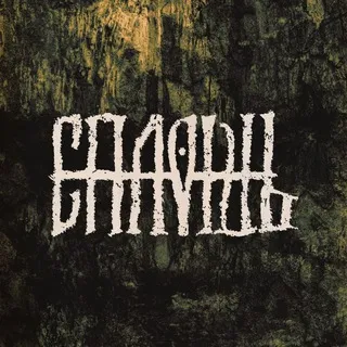 сплошь