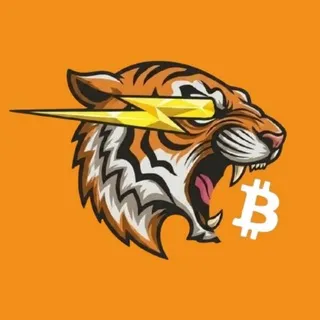 비트코인 실시간 가격 ⚡️