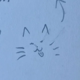 ᴛʜᴇꜰɪꜱʜʙᴇᴛᴛ ˎˊ-