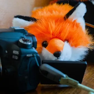 Old DSLR