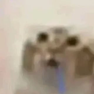 мемкиф