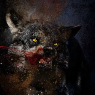 COLE WOLFSSON