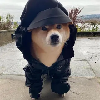 Shib's Vouches