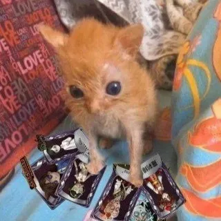 хилсá♡ :Р