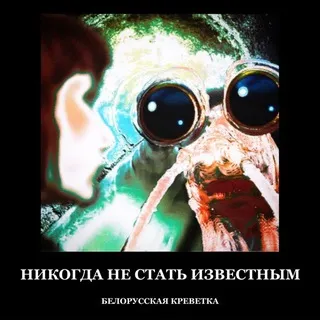 БЕЛОРУССКАЯ КРЕВЕТКА