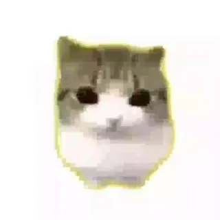 хамам щп сито
