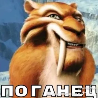ебнутые нахцй инфокмщики