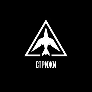 ВБС Стрижи