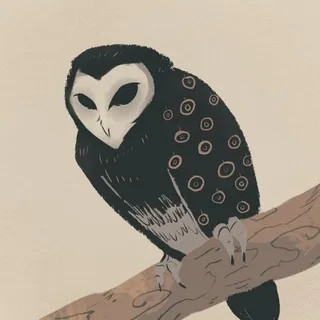 Совпадение 🦉