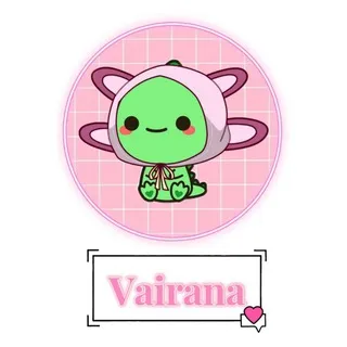 Vairana Wigs/Craft🪷🌸