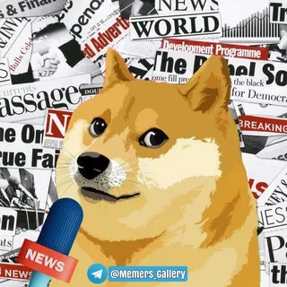 NewZ Gallery | News Gallery ™