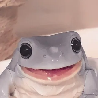 Совсем ку-ку 𓆏