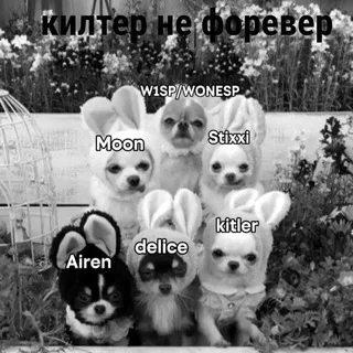 🔒 kilɬꫀr ̼ׄ ˖hou᥉ׄꫀ 𓂃 𝗶𝗻𝗳𝗼