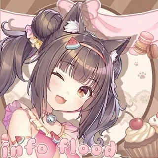 nyancat ︴info
