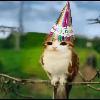 празднуем с молчанием💟🎂