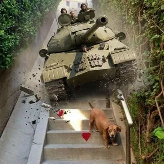 Чат архикотят