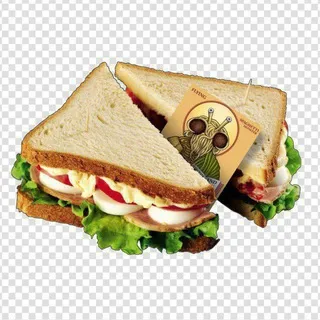 sanndwich⁴⁸