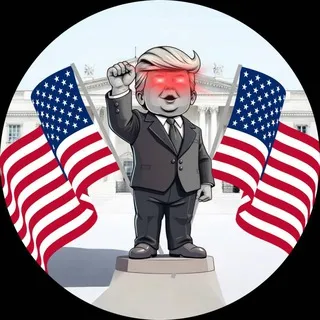 Baby Patriot Portal
