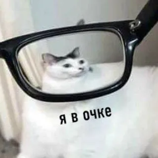 Триббл щитпостит про всякое