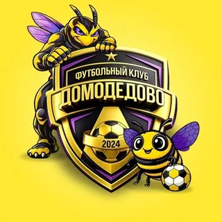 Академия ФК «ДОМОДЕДОВО»