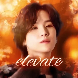 Закрыты Elevate