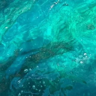 ʏᴀᴍᴀᴛᴏ ᴅᴀɪʟʏ !¡